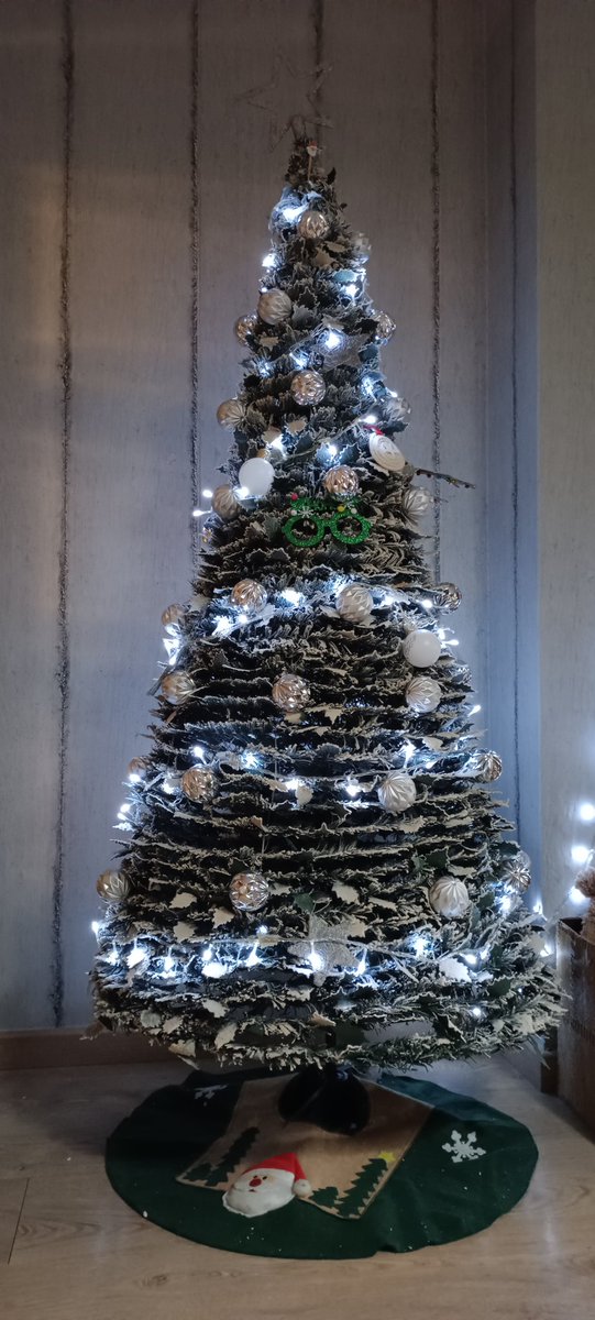 MrFoxBdn's tweet photo. No entiendo a la gente,que le da pereza montar el Árbol de Navidad 🎄.
#DandoEnvidia 🤣 2024/25
#Badalona https://t.co/zogPaoMUrn