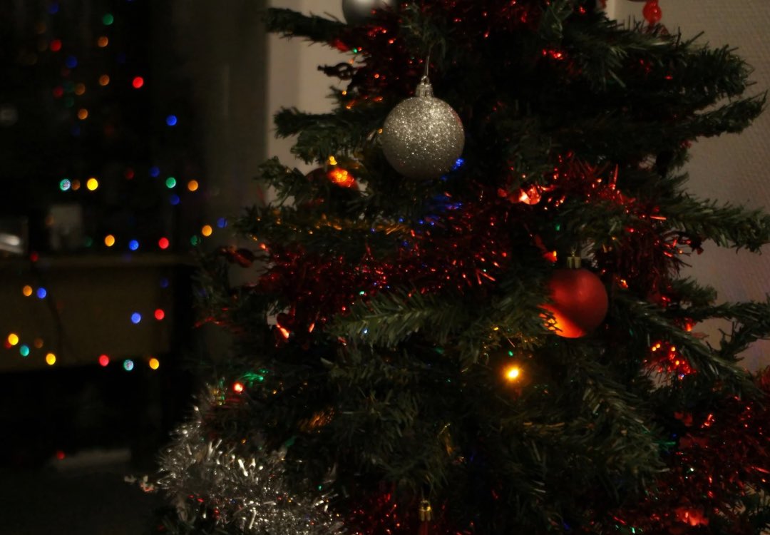 • 𝐿’𝐸𝑠𝑝𝑟𝑖𝑡 𝑑𝑒 𝑁𝑜𝑒̈𝑙 𝑒𝑠𝑡 𝑎𝑟𝑟𝑖𝑣𝑒́ 🎄•

Le sapin de Noël a pris fièrement place dans le hall d’accueil de la Fédération ! 😍

Ses guirlandes illuminent les dernières journées avant les fêtes de fin d’année ! 🕰️