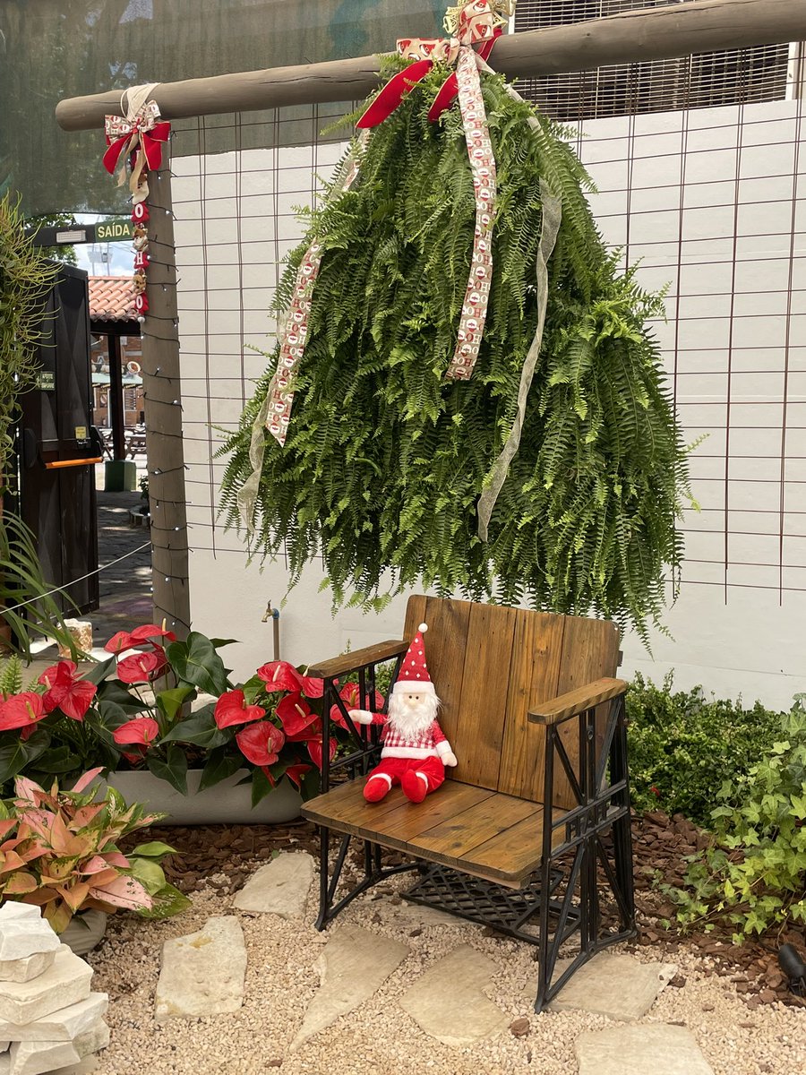 Anandaappleofi1's tweet photo. NATAL EM HOLAMBRA daqui a pouquinho no Quadro Verde do Bom Dia SP. https://t.co/SkmxUeoaF5