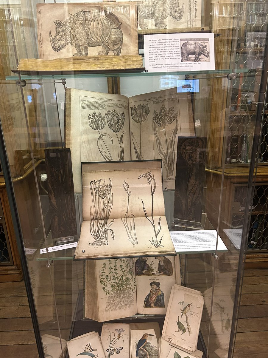 Matthew Back 🇺🇦 tweet media