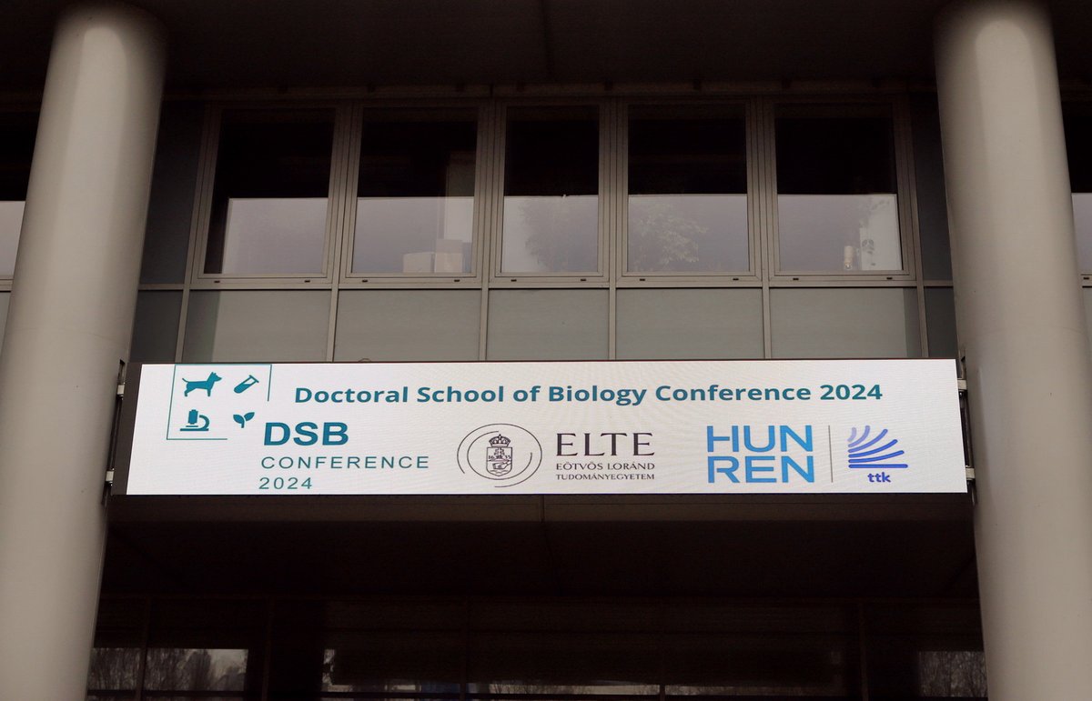 mta-lace.bsky.social tweet media