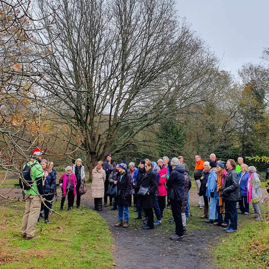 The Walk and Talk Movement (@WeWalkandTalk) / Posts / X