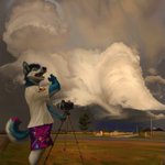Photo by Swish @ bluesky (@swishchee)