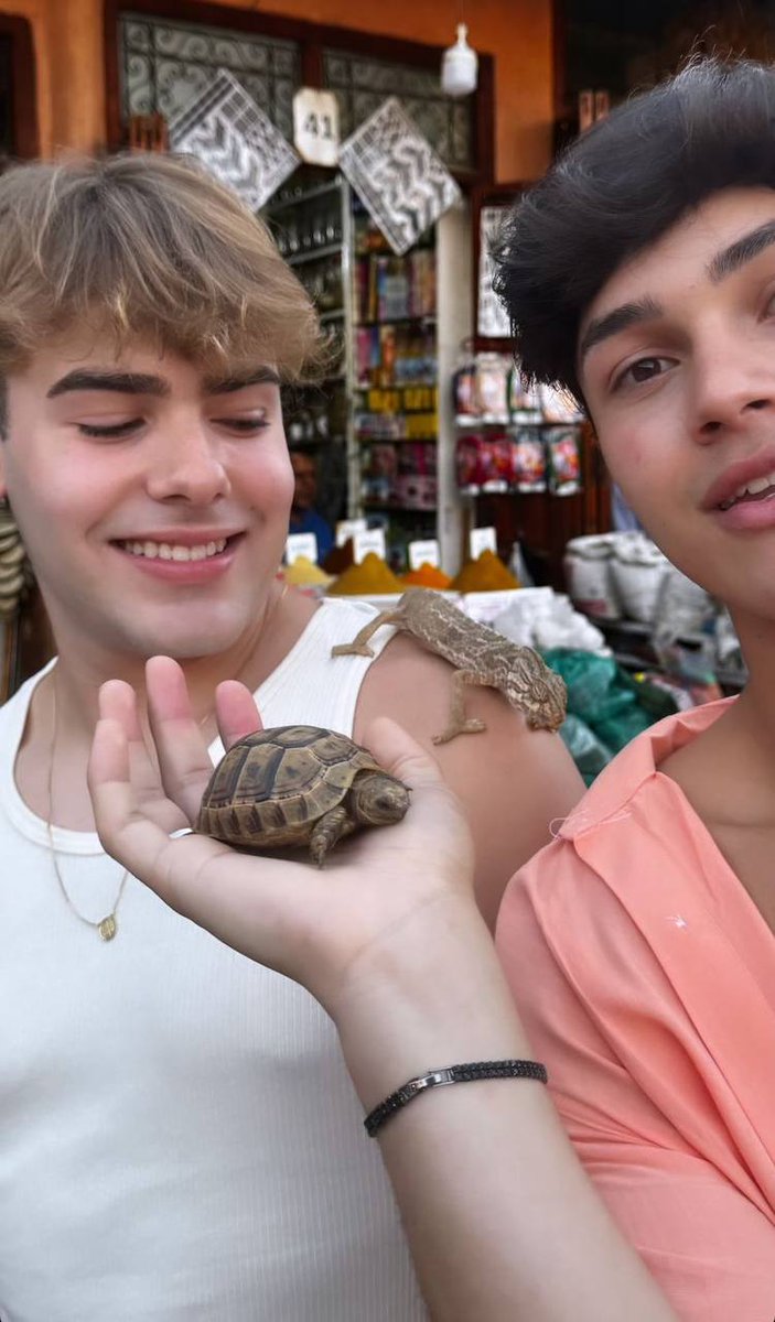 MomentosCaian's tweet photo. Caio e Luan conhecendo Marrakech 🇲🇦 Luan com medo do lagarto 😂 e Caio quase perdendo os cabelos para o Macaco! 😆 Saudades dessa viagem 🥹 https://t.co/rSX7GmAvyp
