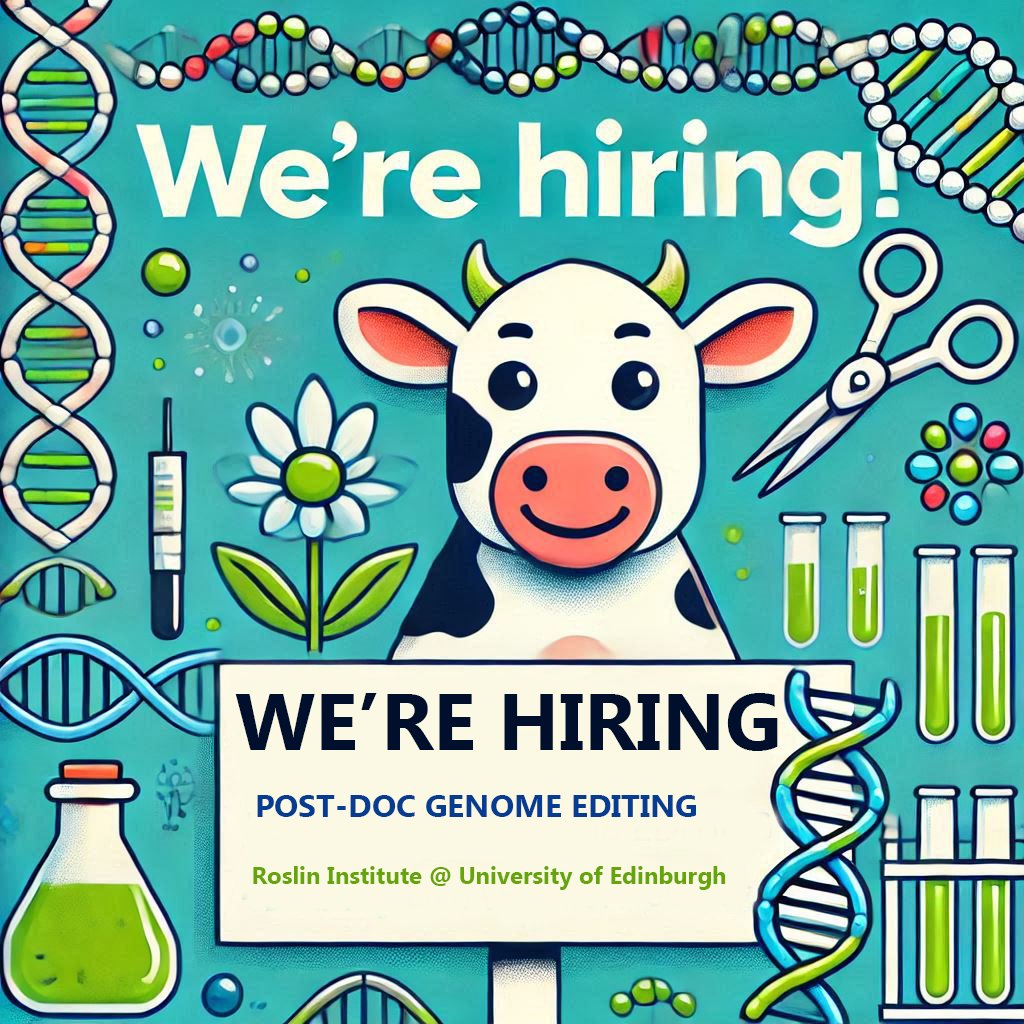 James Prendergast (@jgdprendergast) on Twitter photo 🚀 Join our team at <a href="/roslininstitute/">The Roslin Institute</a> looking at validating AI designed genome edits for improving cattle traits. 🧬🐄
🔍 PhD in Molecular Biology? Experience in genome editing? We need you!
elxw.fa.em3.oraclecloud.com/hcmUI/Candidat… 🚀 Join our team at <a href="/roslininstitute/">The Roslin Institute</a> looking at validating AI designed genome edits for improving cattle traits. 🧬🐄
🔍 PhD in Molecular Biology? Experience in genome editing? We need you!
elxw.fa.em3.oraclecloud.com/hcmUI/Candidat…