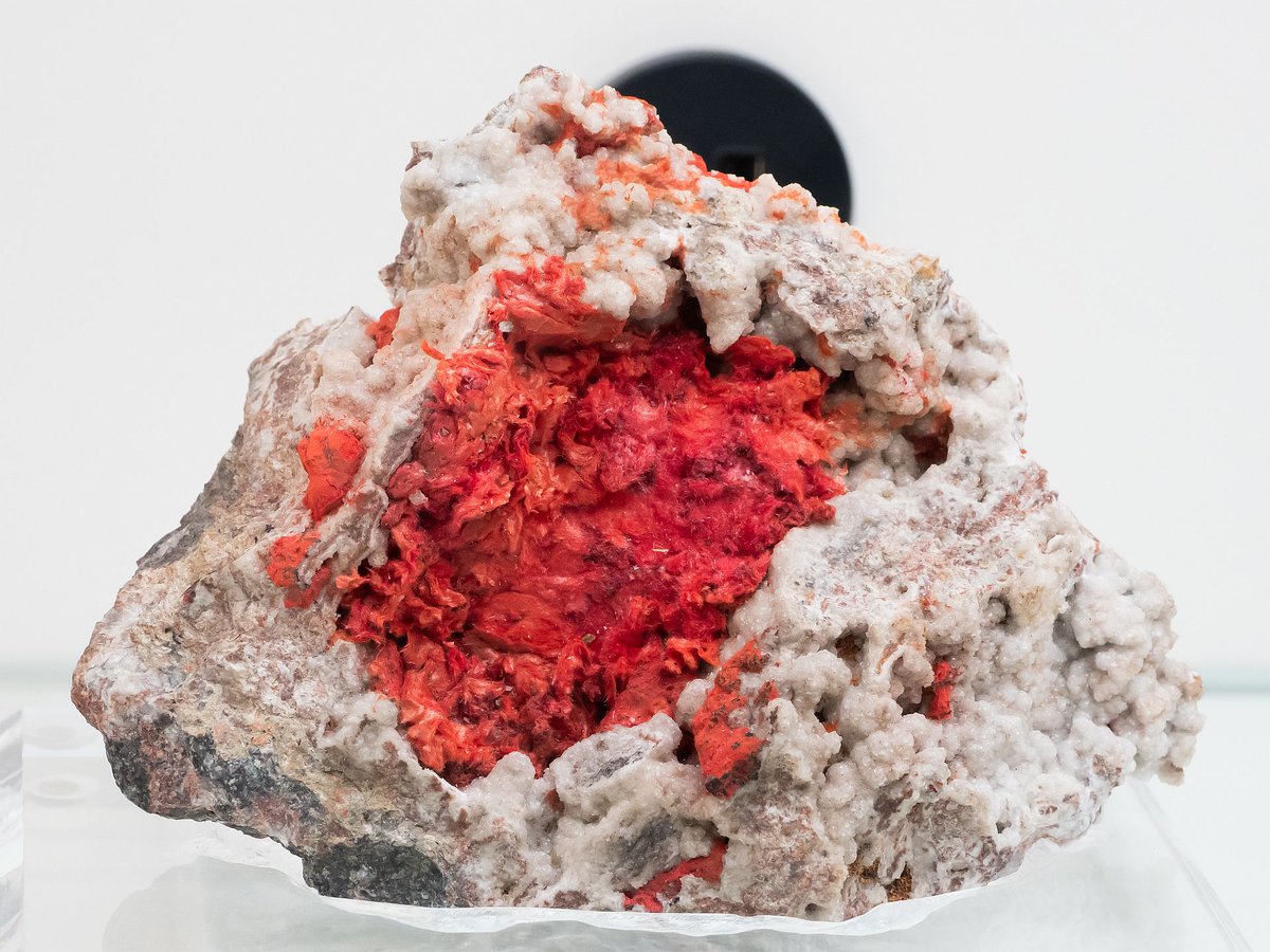 mexporg's tweet image. Red #Cuprite (var. #Chalcotrichite) from Tsumeb, Namibia.

#minerals #crystals #mineralcollecting #mineralexpert #rockhounding #mineralogy