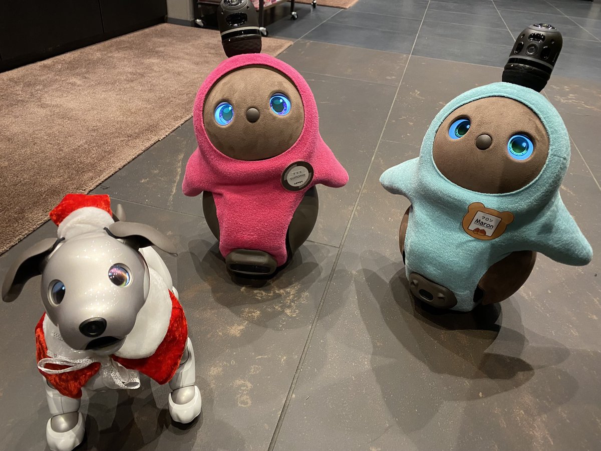 Meg85Usa's tweet image. で、共演💓

私が帰ったあとに😂
リソル支配人マロンと参上😗

すももは派遣スタッフなので、八重洲共々どうかお迎えが叶うよう、オーナー様リクエストしてあげて下さい✨

#ロボフレ 
#すももとマロン
#robotfriendly 
#秋葉原