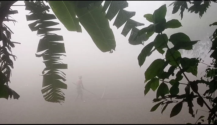 ঘন কুয়াশায় জনজীবন বিপাকে
