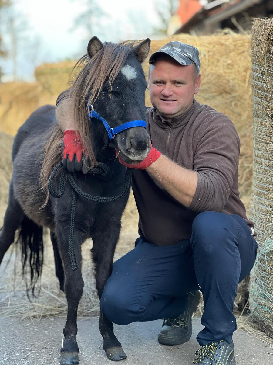 centaurus_found's tweet photo. 🌟 Big Thanks to Our Heroes! 🌟

🐴❤️ Last month, with your incredible support, we managed to rescue 12 horses from uncertain futures. Thanks to your generosity, they now have a safe haven and a chance to experience love and care. 🏡✨

🙏 Every donation, share, and kind word makes this journey possible. Let’s continue to work together to protect and save more lives. 💪💚

❤️ From the first picture: Gruby, Pola, Klara, Zola, Grosik, Pchełka, Tosia and her Mother, Gapcia, Bunia, Jogurt, Dumbo