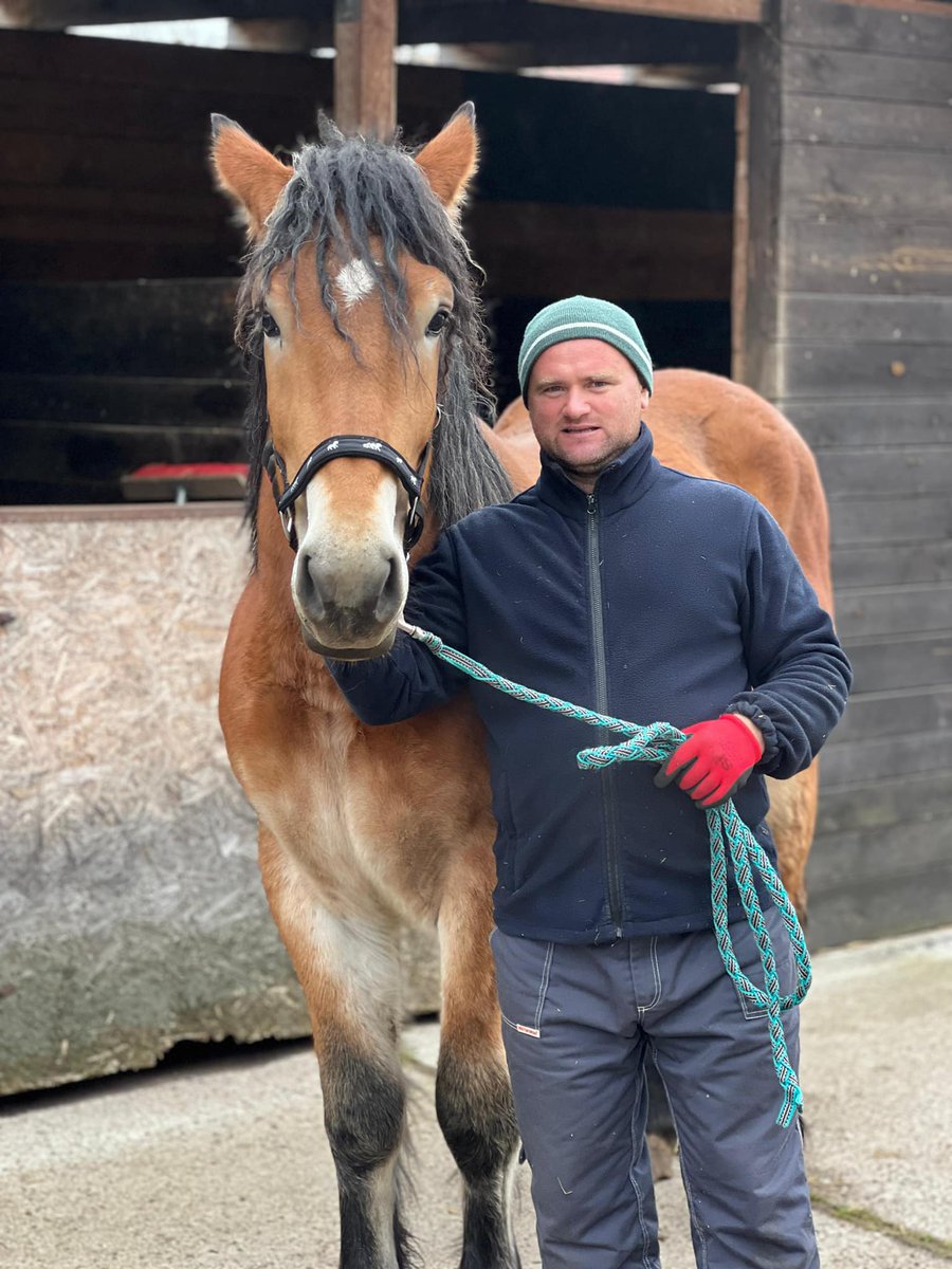 centaurus_found's tweet photo. 🌟 Big Thanks to Our Heroes! 🌟

🐴❤️ Last month, with your incredible support, we managed to rescue 12 horses from uncertain futures. Thanks to your generosity, they now have a safe haven and a chance to experience love and care. 🏡✨

🙏 Every donation, share, and kind word makes this journey possible. Let’s continue to work together to protect and save more lives. 💪💚

❤️ From the first picture: Gruby, Pola, Klara, Zola, Grosik, Pchełka, Tosia and her Mother, Gapcia, Bunia, Jogurt, Dumbo