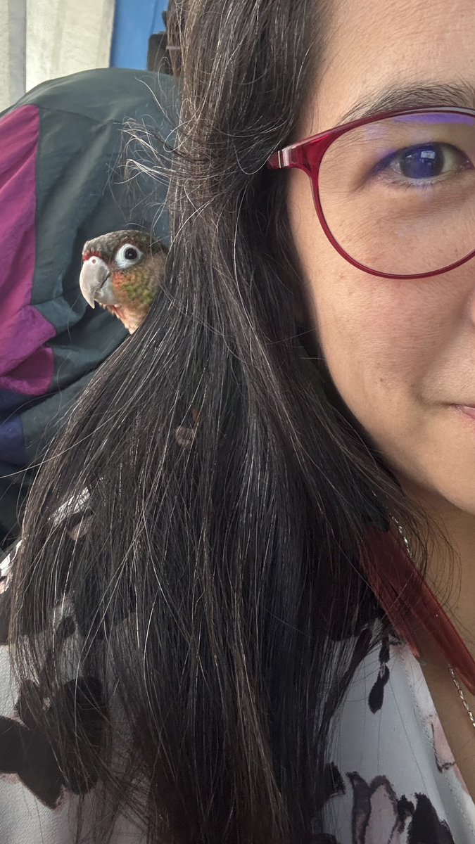 palmerdebra's tweet photo. TGIF from Little Quando and me!! #quando #coneur #featheredbaby #birdfriend https://t.co/n9kNOJ5WDs