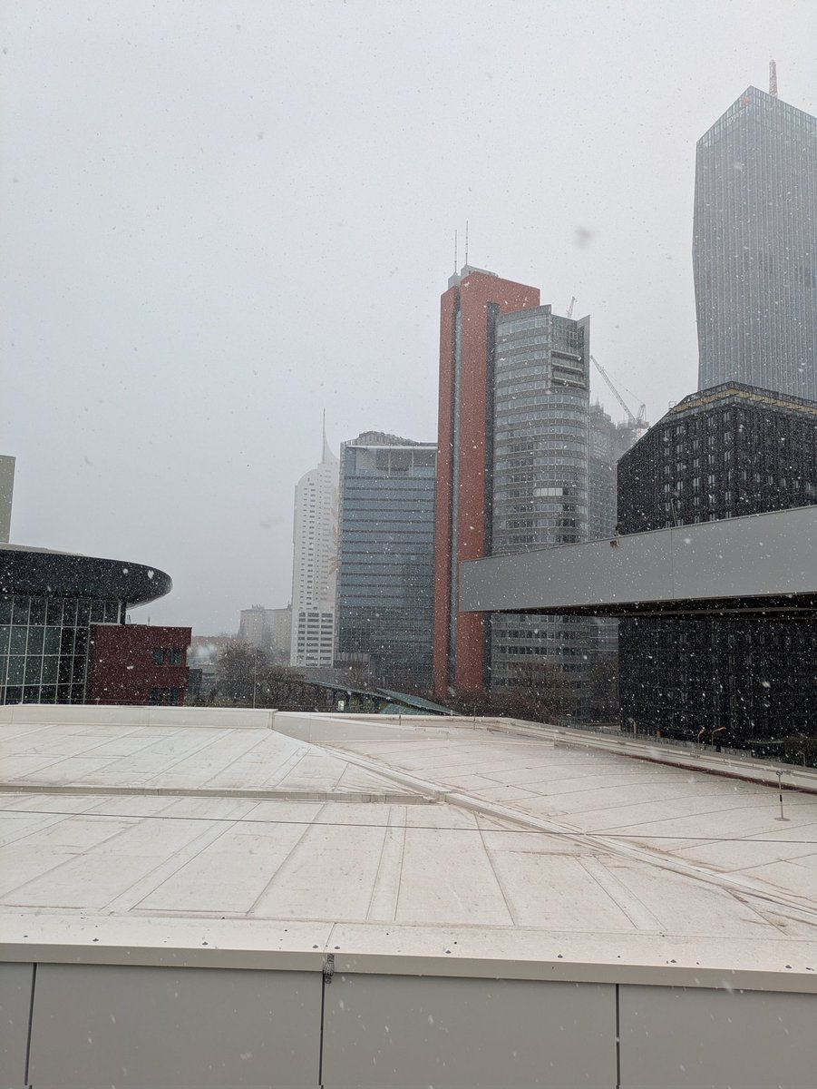 SymfonyCasts's tweet image. Snowy #SymfonyCon day 2!