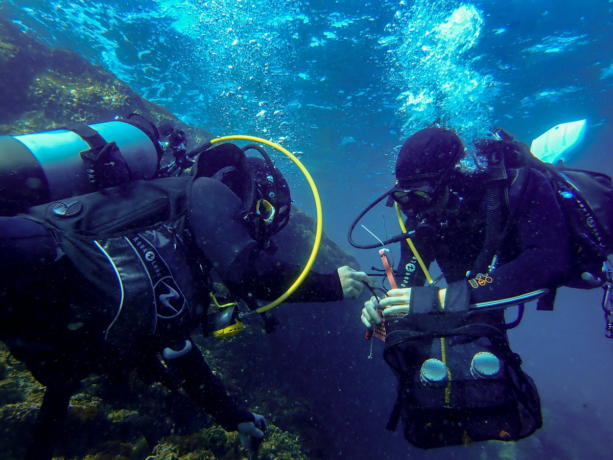 Colin Anthony tweet media