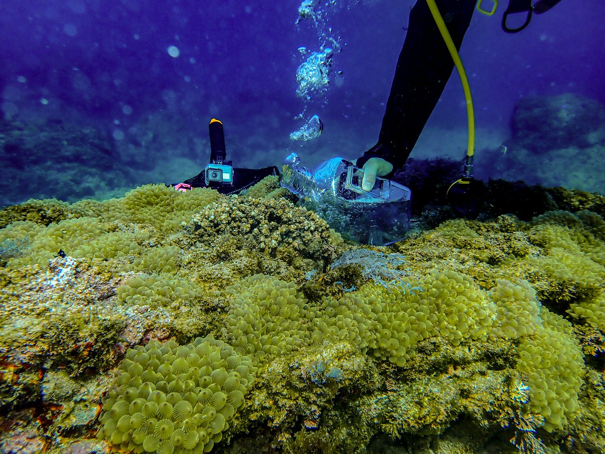 Colin Anthony tweet media