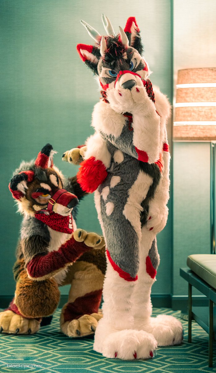 The <a href="/RougeWuff/">Rouge🔜FWA</a> found a BUTT 

#FursuitFriday 
🧵:<a href="/MadeFurYou/">Made Fur You</a> 
📸:The wuff &amp; his magic