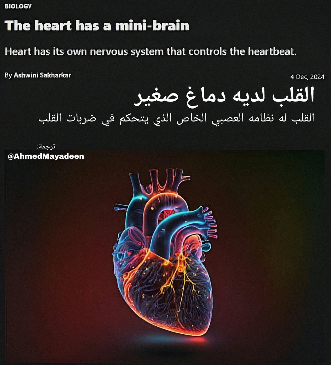 AhmedMayadeen's tweet photo. New research from Karolinska Institutet & Columbia University🔬
Reveals that heart🫀has its own #complex_nervous_system, a "#mini_brain🧠" crucial for controlling the heartbeat💓
This discovery, based on a study with zebrafish🐠, identifies several #neuron_types within heart👇🏼 https://t.co/NumrNcFlNt