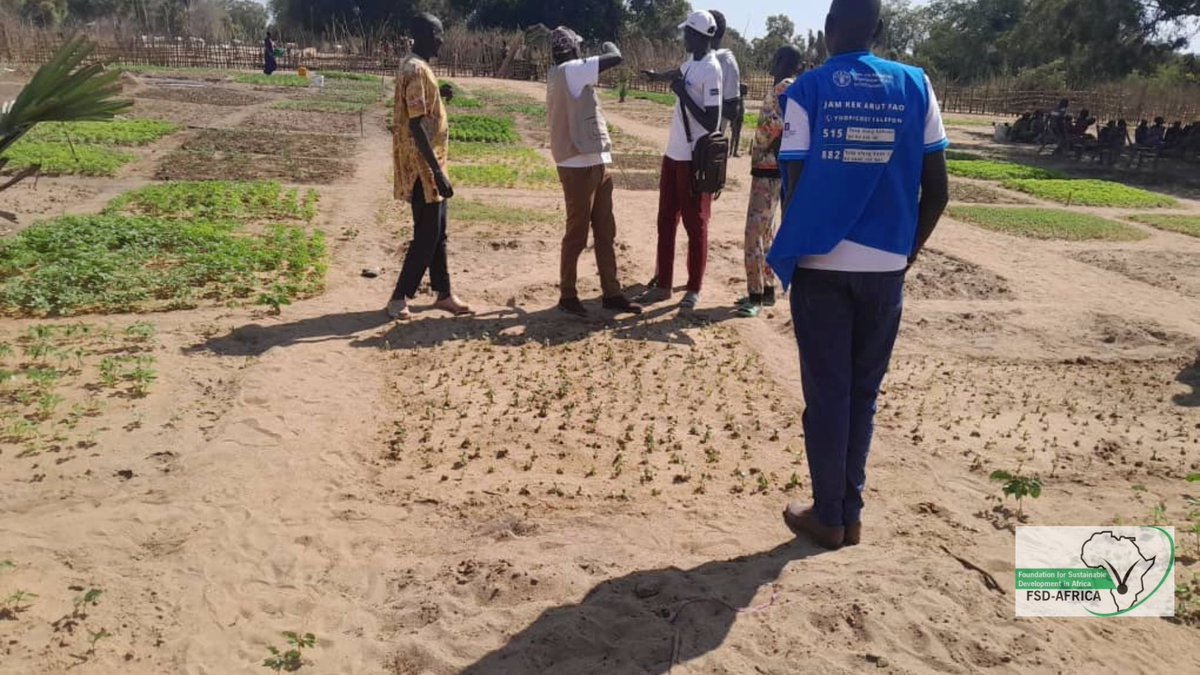 Fsd_Africa's tweet photo. π Anger_nger Payam, G.E. County
A @FAOSouthSudan and @mafs_ss visit through #BRLTC has empowered the communities advancing agricultural techniques, food security, & fostering sustainable growth. The community's resilience and advancement are truly motivating. @NorwayinSSudan πΎ https://t.co/IypKTZlJ4T