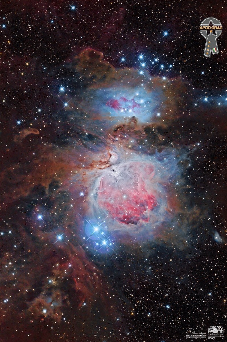 Guillermo Cervantes M tweet media