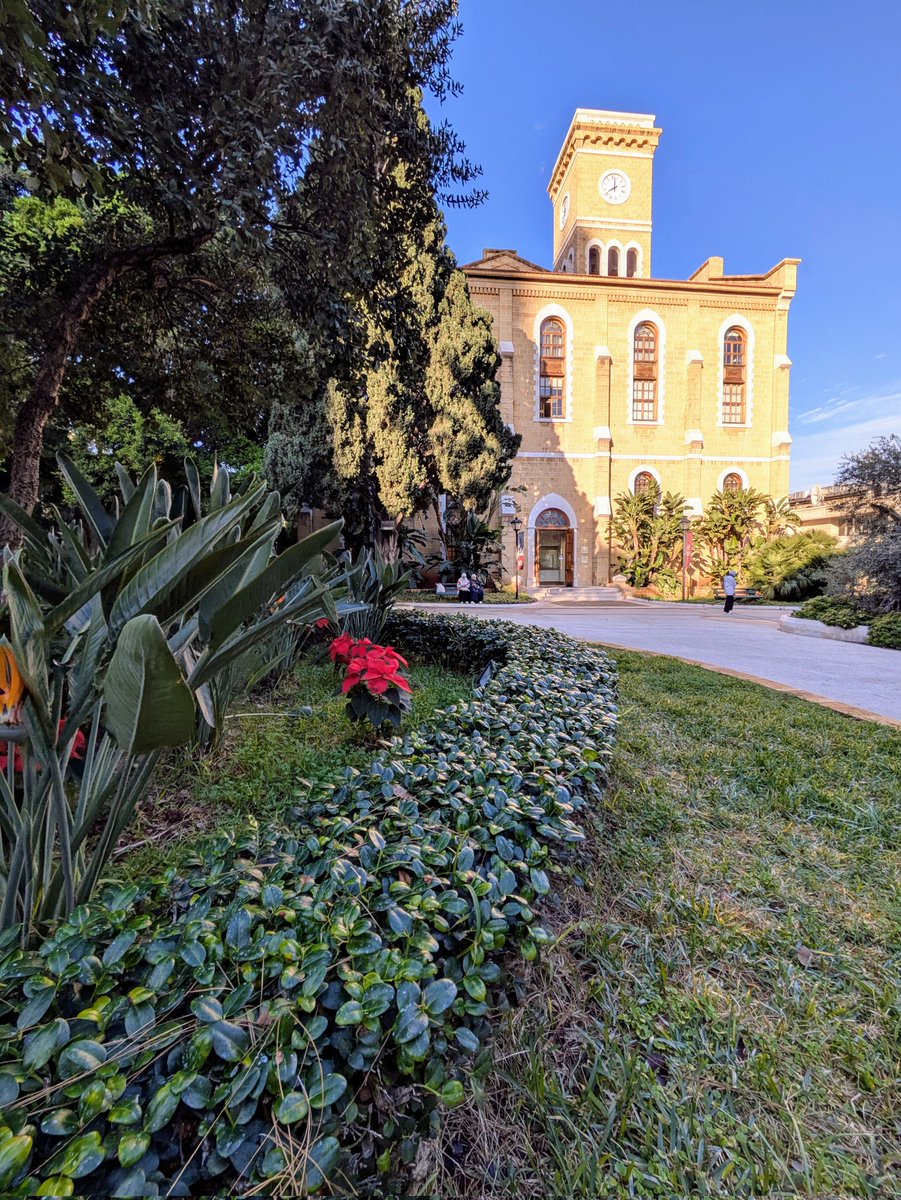 Christmasy morning #vibes at <a href="/AUB_Lebanon/">American University of Beirut</a>!