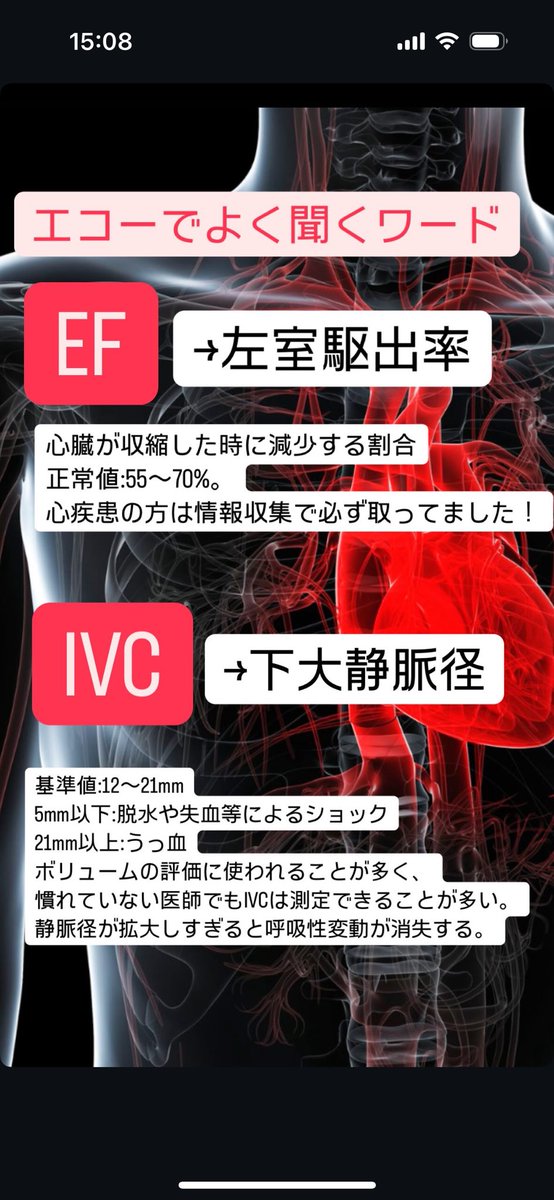 エコーでよく出るワード。エコーって難しいからこそ、抑えるとこしっかり抑えることが大事。