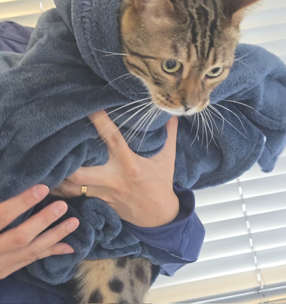 새로가게 된 병원...두식이 부드럽게 터치하는 수의사분...대박..