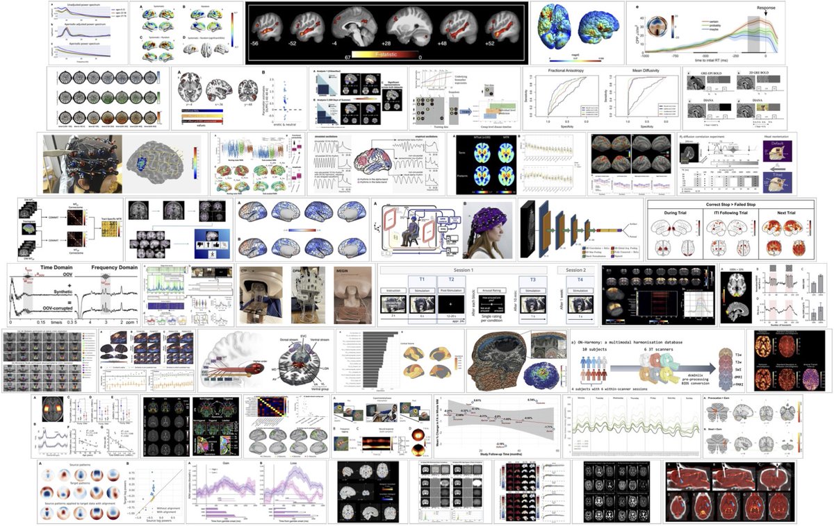 Imaging Neuroscience new-paper posts from 2023. At the end of December we'll post the much bigger 2024 montage (even Rocky had a montage).
