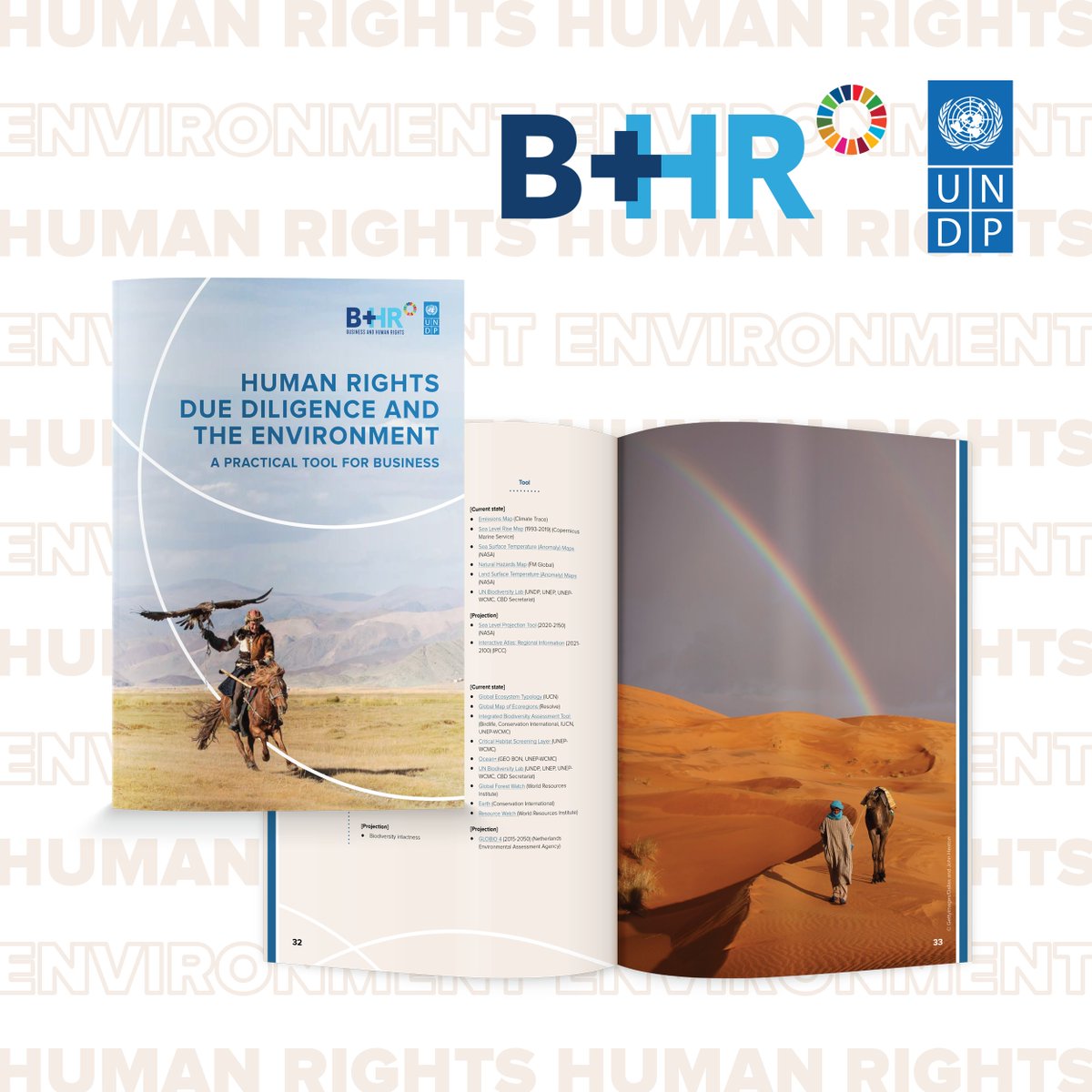 BizHRAsia_UNDP's tweet photo. Interlinked crises demand an interlinked response.🪢

@UNDP’s new tool aims to help #biz break silos between human rights &amp; environmental risk management ➡️ address the triple 🌏 crisis of pollution, climate change &amp; biodiversity loss🟰human rights crisis: https://t.co/So2UXq9FE7 https://t.co/MhxMY4pJ3m