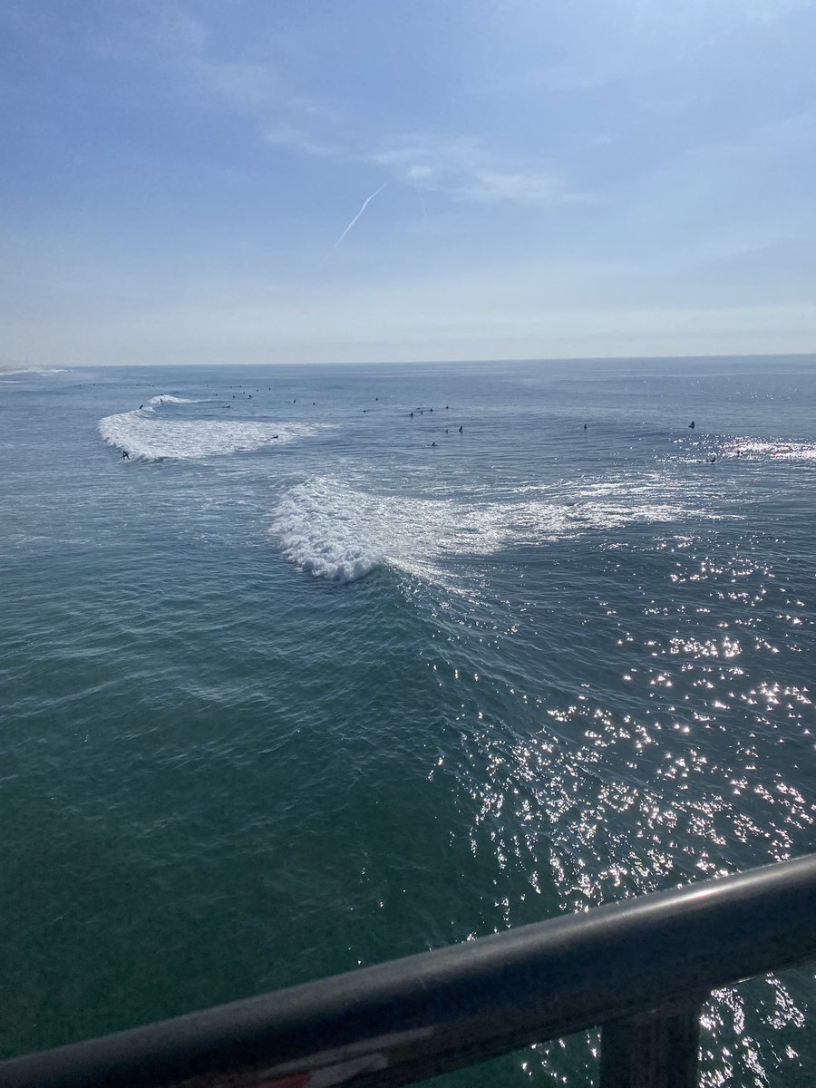ES513749apes's tweet photo. The Pacific Ocean has the largest and most diverse marine ecosystem on earth. However due to humans it also faces high threats from pollution, overfishing, climate change, etc. #apeswater @franklinlorax https://t.co/epGmualf1x