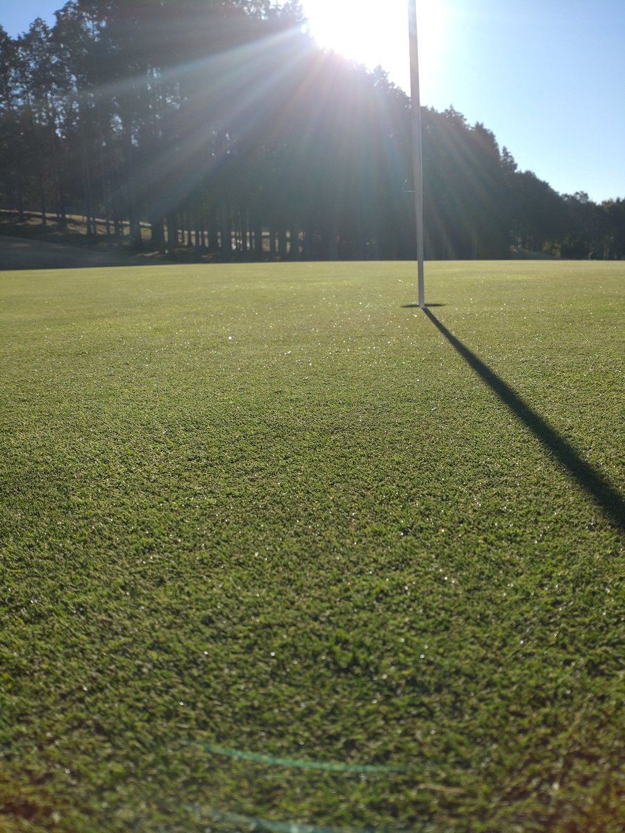 OgreTurf's tweet photo. 今年はまだ凍結してない。
地温下がるのも遅くなってます🙄

 #芝  #ゴルフ場  #グリーン https://t.co/m3CjAMMBCP