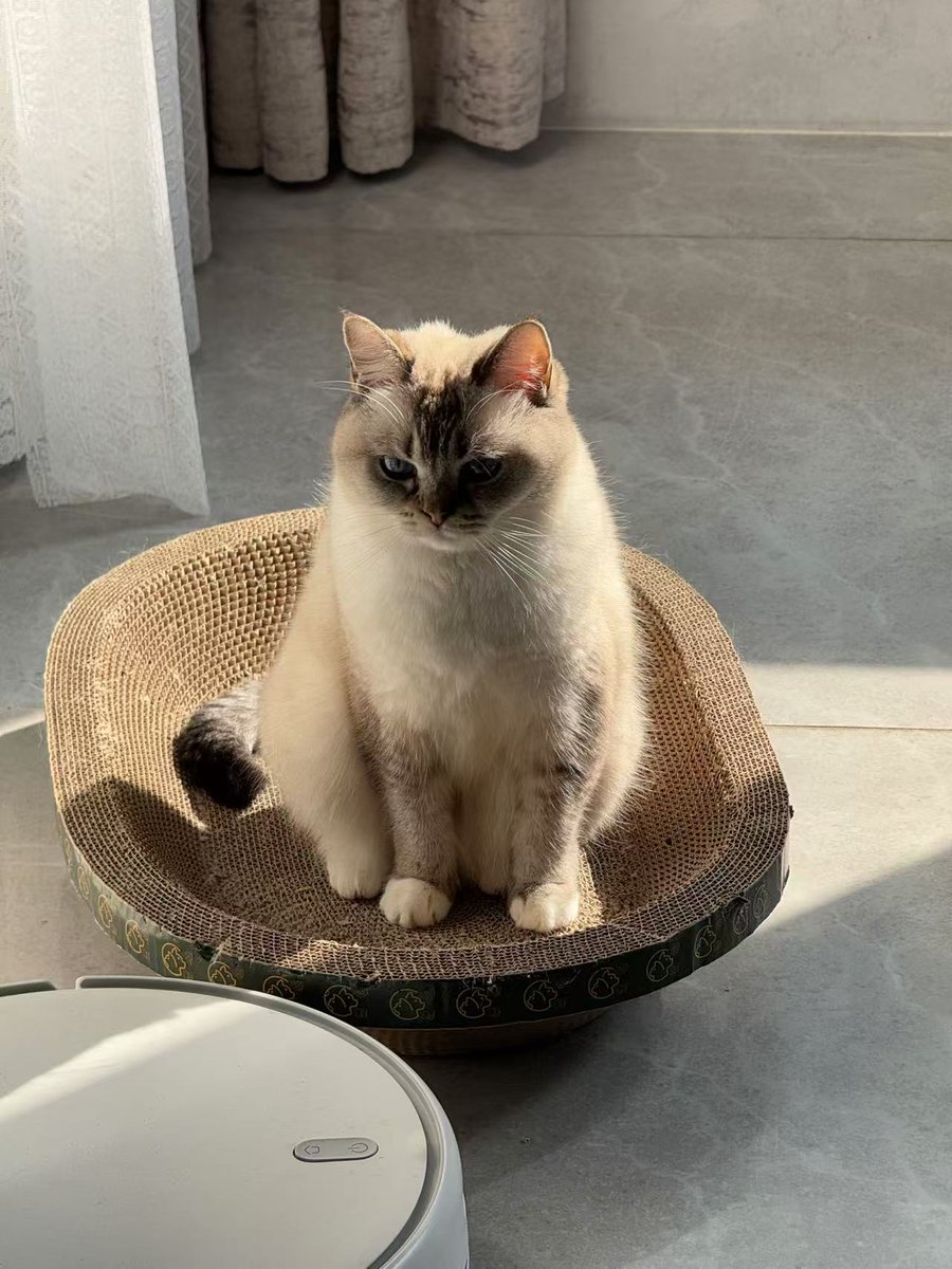 邪恶三角饭团🍙