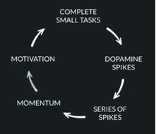 realTradersDen's tweet photo. Completing #SmallTasks leads to #Momentum
- The Duomo Initiative
#DopamineMatters https://t.co/Tjx9o5Umww