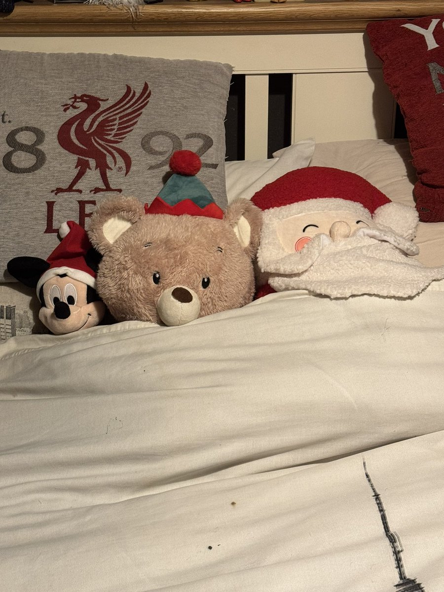 When you tuck the Xmas teddies up before you go to work 🎄☃️🎅🏻❄️