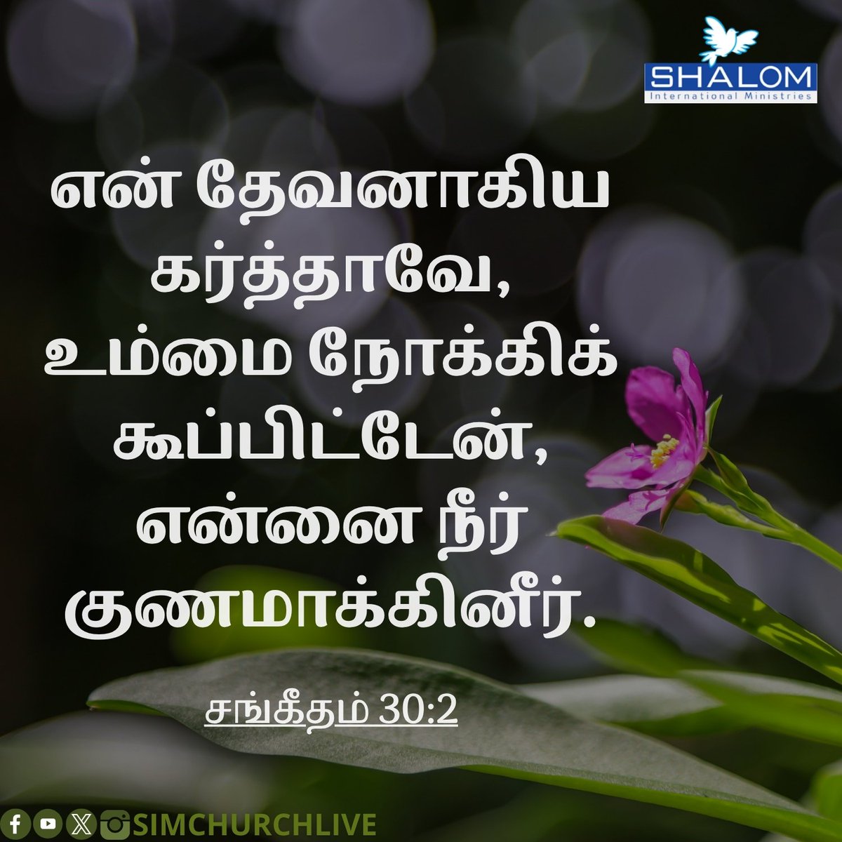 SIMChurchLive's tweet photo. Today #Verse https://t.co/s4H7eDXyBn