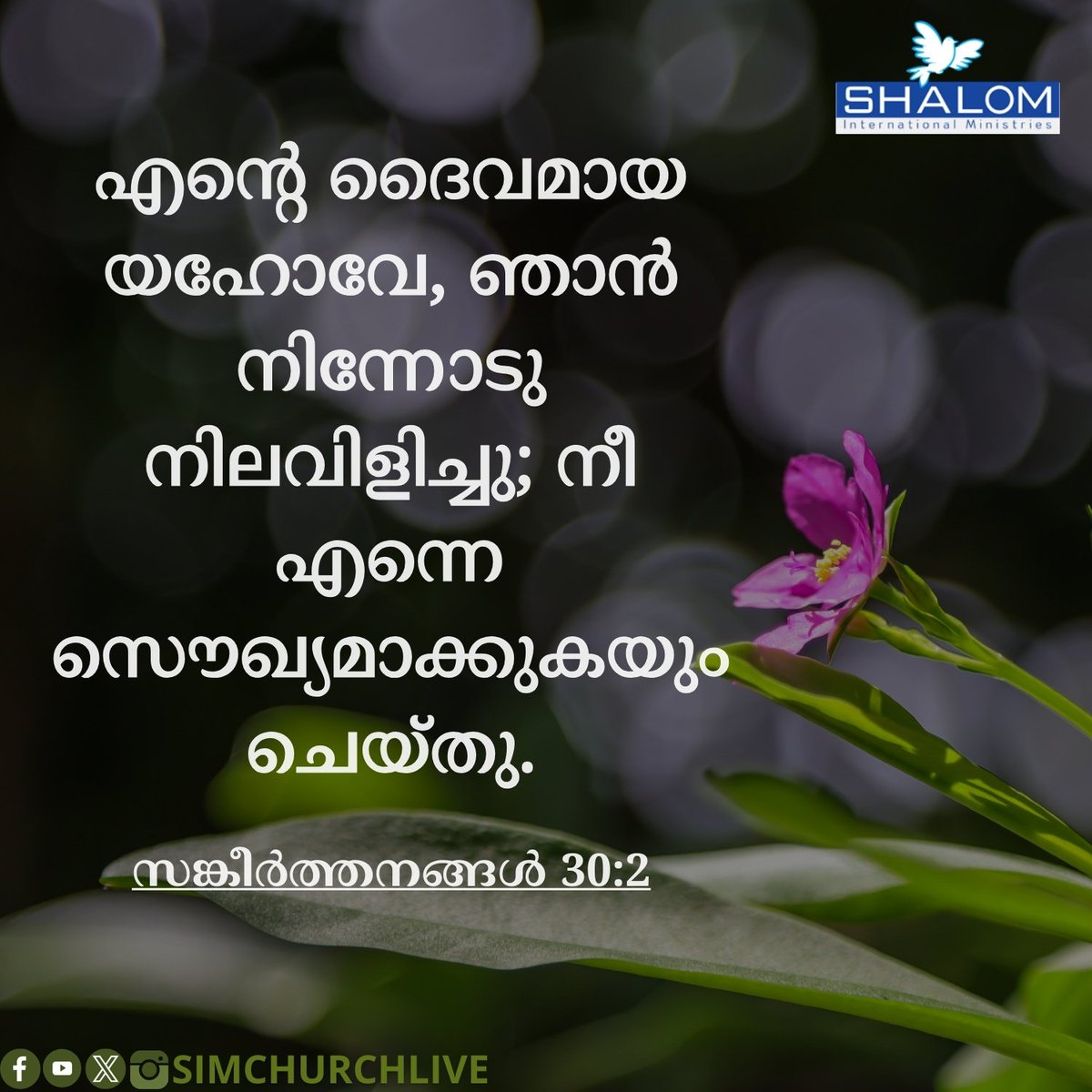 SIMChurchLive's tweet photo. Today #Verse https://t.co/s4H7eDXyBn