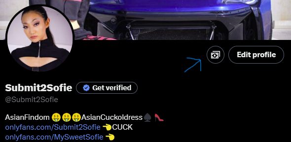 Submit2Sofie tweet media