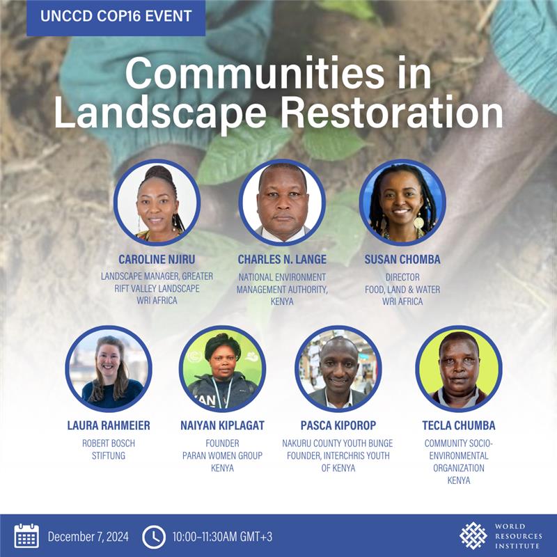 Meet the restoration champions revitalizing Kenya’s Great Rift Valley. 🌱🌳

Join us tomorrow at #COP16Riyadh to learn how WRI's #RestoreLocal project is working with marginalized communities to revitalize ecosystems and strengthen resilience 🌿bit.ly/3ZBulcf