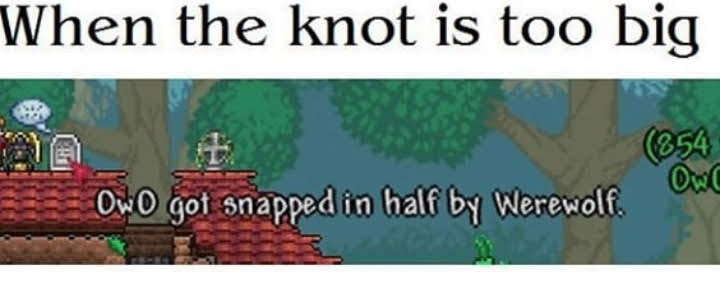ShitpostGateway (@shitpostgate) on Twitter photo 