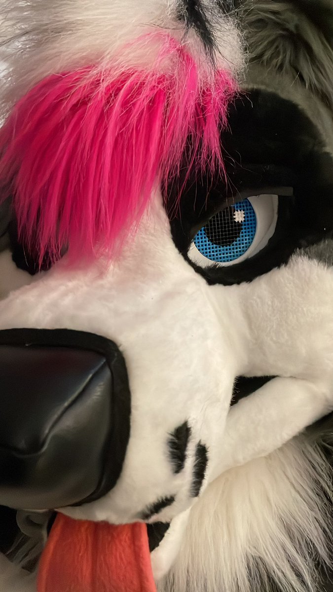 Rhux Collie tweet media