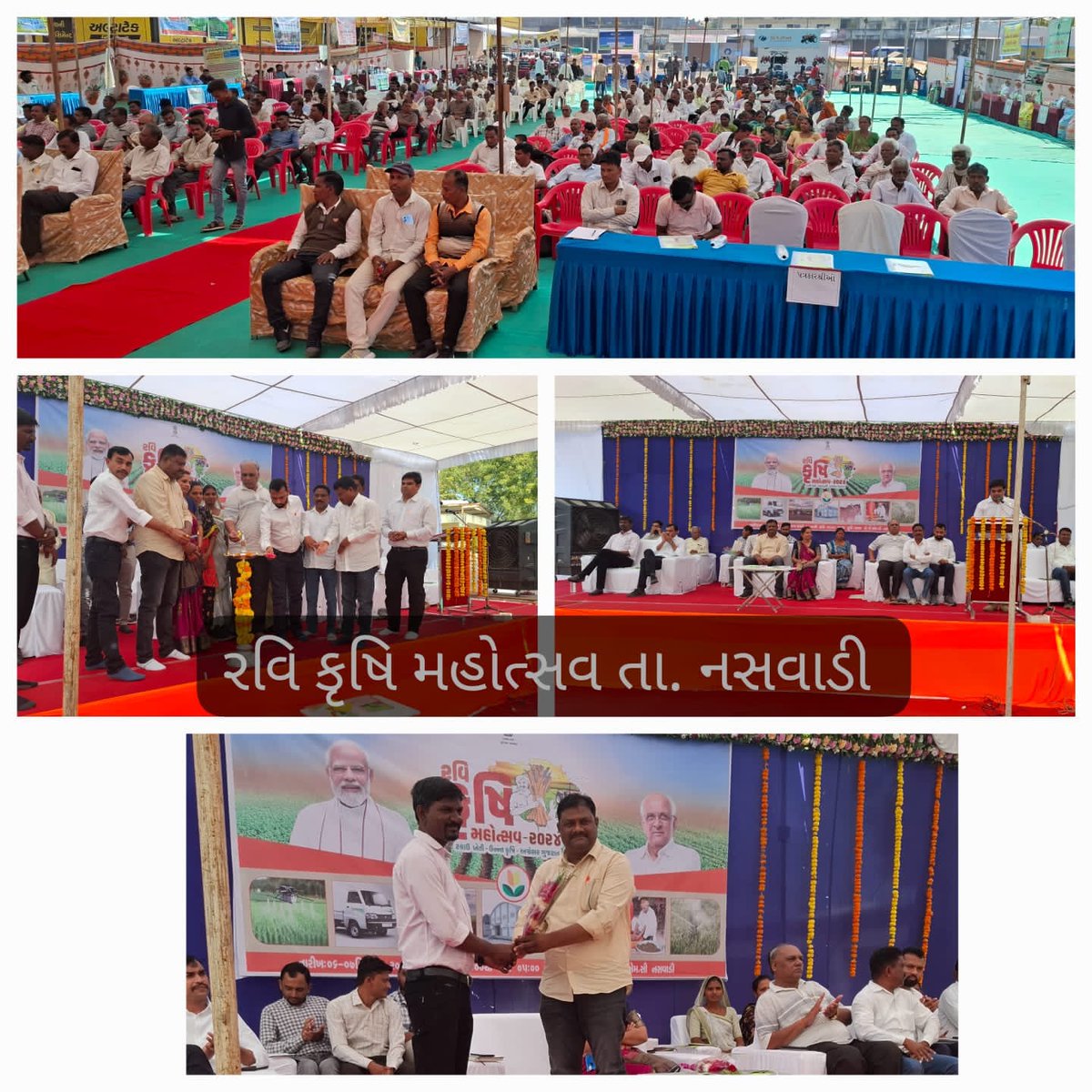 DISTRICTAG71569's tweet photo. રવિ કૃષિ મહોત્સવ-૨૦૨૪ અંતર્ગત છોટાઉદેપુર જિલ્લાના તમામ તાલુકાઓમાં કૃષિ મેળા,કૃષિ સેમિનાર અને કૃષિ પ્રદર્શનનું આયોજન હાથ ધરવામાં આવેલ જેમાં મોટી સંખ્યામાં ખેડૂતોએ ભાગ લીધો હતો... https://t.co/Fh1ntfinEm