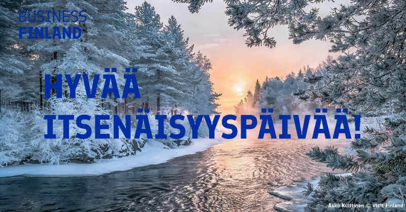 Hyvää ja rauhallista itsenäisyyspäivää! Happy independence Day of Finland!
