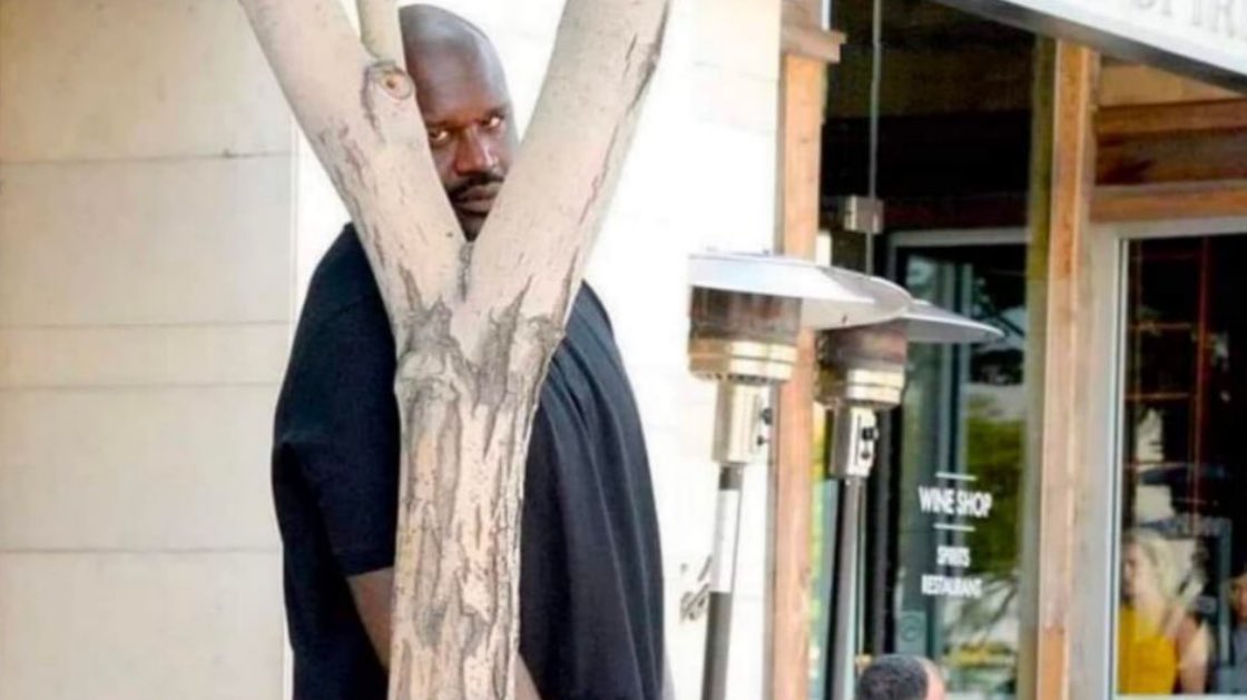 bolttv237's tweet photo. My followers who enjoy every meme I post but never react https://t.co/heFd2r2iaa