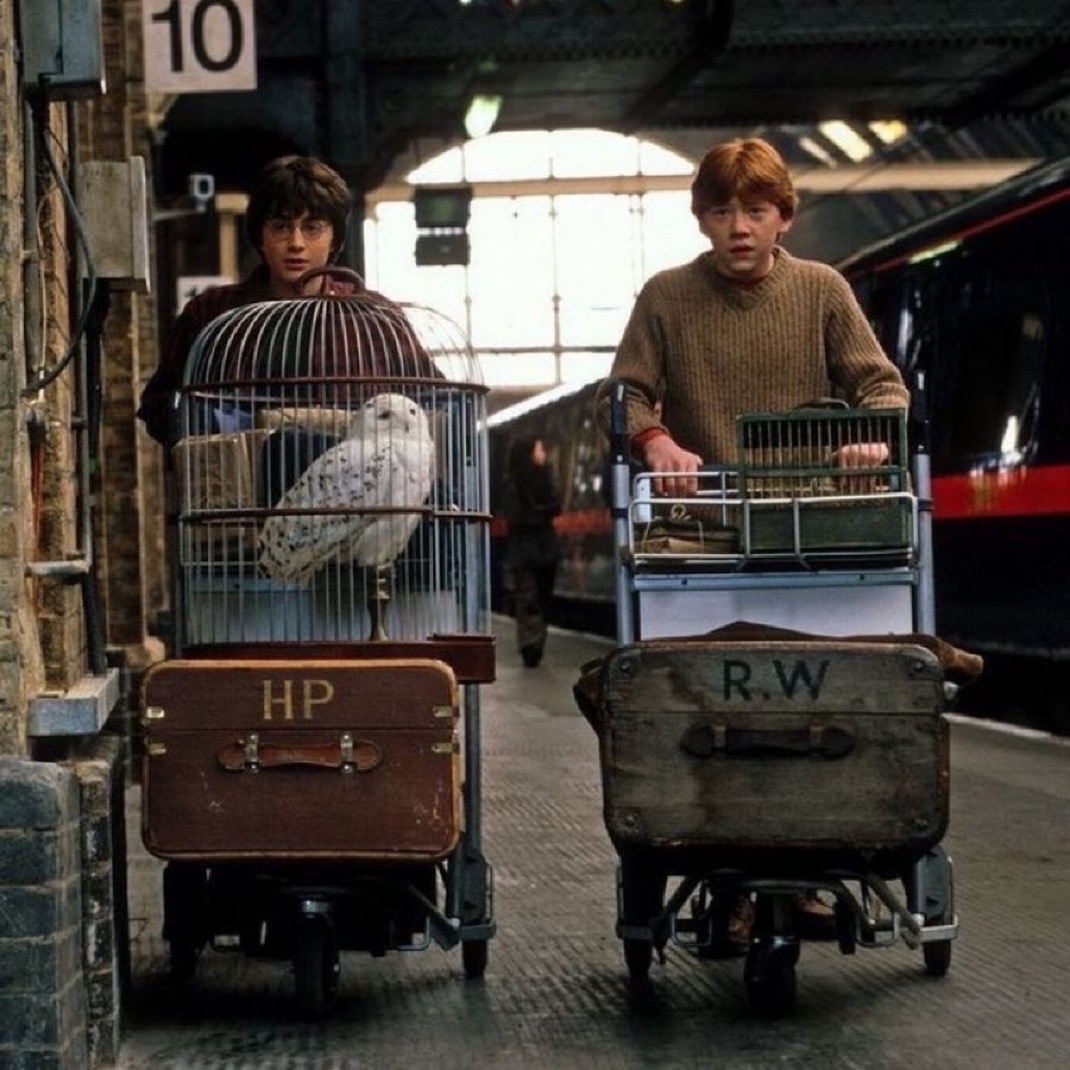 TheDailyHPotter's tweet photo. ❾¾ https://t.co/iAqKPa88YJ
