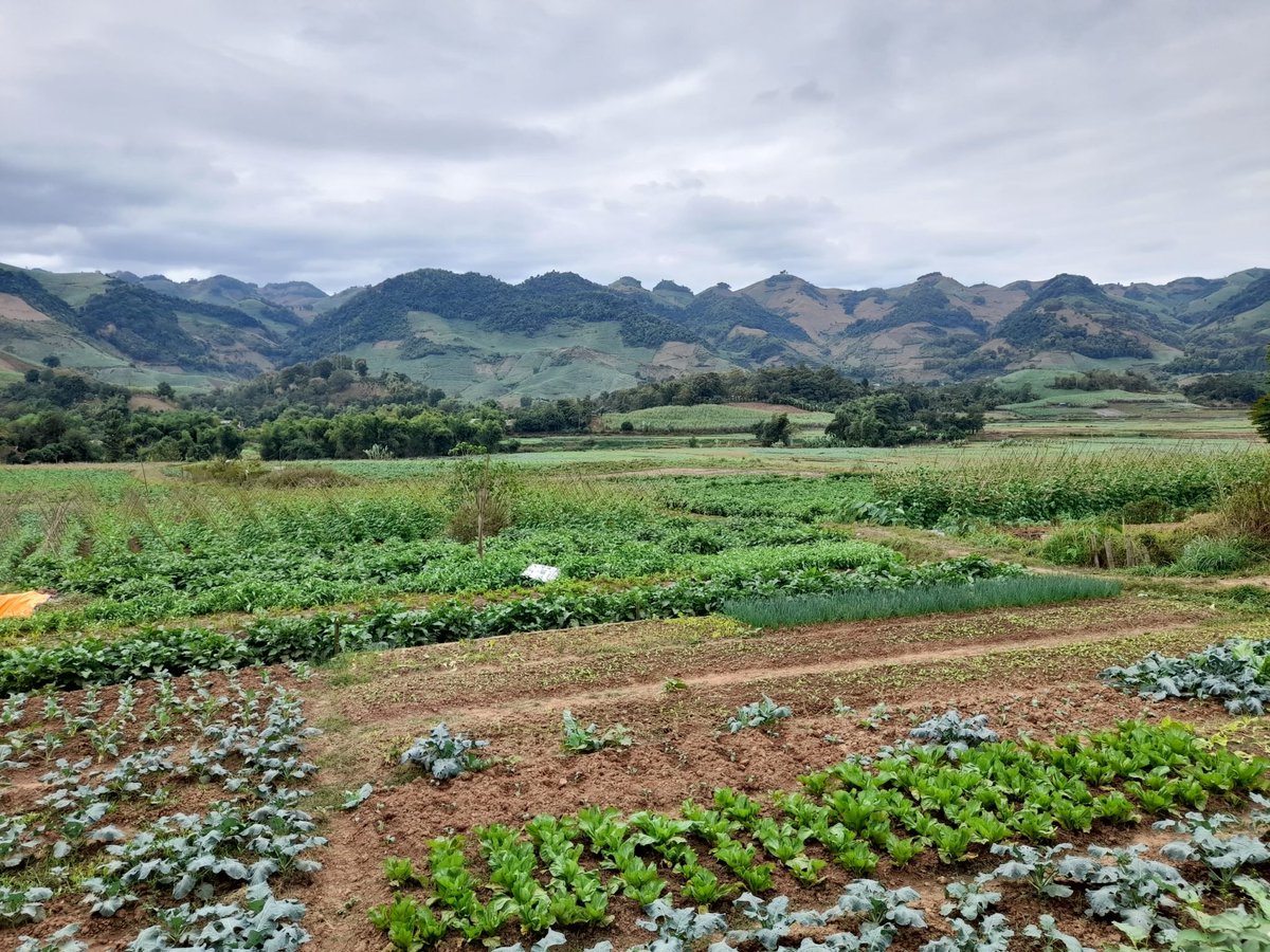 Francois_Roger's tweet photo. L'ISARA au cœur de l’agroécologie en Asie du Sud-Est
@Cirad #dP_ASEA @isaralyon @ASSETProjectSEA
https://t.co/nzlbgyJ9DE https://t.co/8JwV1NAgVy