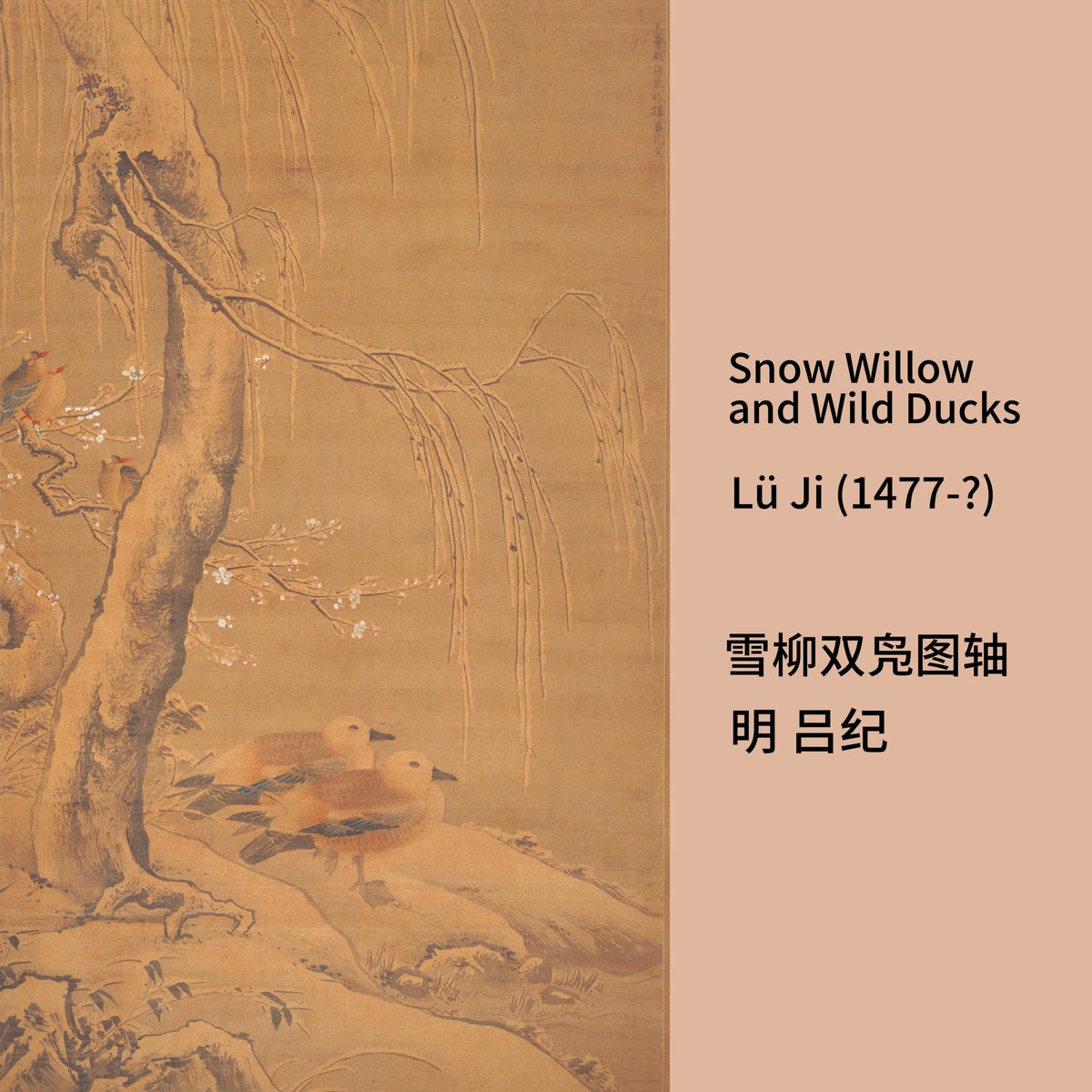 ShanghaiMuseum's tweet photo. Did you spot the snowflakes on the willow tree?❄
Today arrives the 21st of the #SolARTerms #Daxue, or heavy snow. Ming dynasty court painter Lü Ji (1477-?) depicted this tranquil scenery, where two wild ducks called fu are resting under the willow tree embedded with snow. https://t.co/WcPqenPava