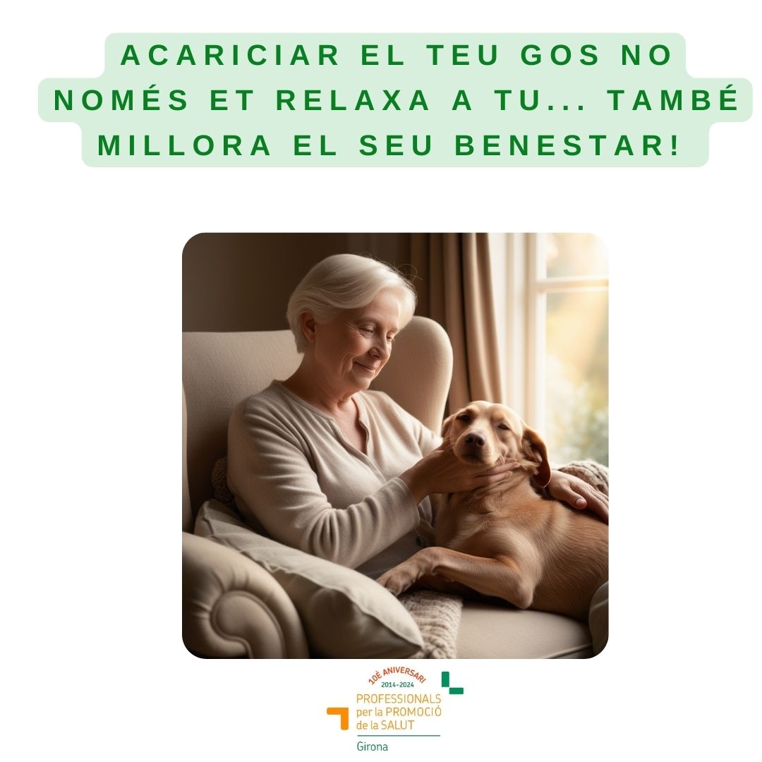 PromoSalutGi's tweet photo. 💓Nou article💓 "El joc i l’acaronament sincronitza el ritme cardíac dels animals de companyia i els seus tutors, generant beneficis mutus"
💓 escrit per Alexandra Gonzàlez Cateura
Veterinària

Sabies que jugar o acariciar el teu gos pot sincronitzar els vostres ritmes cardíacs? https://t.co/AeZCkdDZyR