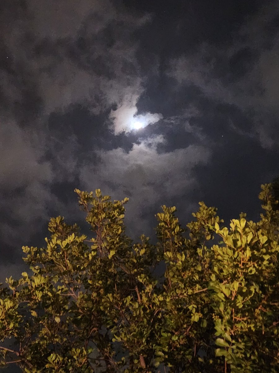 michaelhuseth's tweet photo. Night https://t.co/AY9xnFZxb8