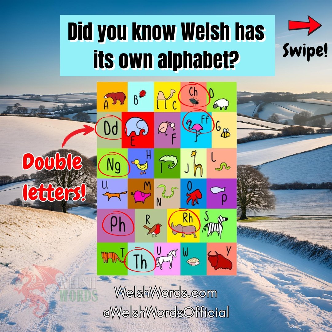 WelshWordsHQ's tweet photo. Did you know these fascinating facts about the Welsh language? 🤯 

#WelshLanguage #LearnWelsh #Wales #FunFacts #Cymraeg #WelshWords #LanguageLearning #HistoricalFacts #DiscoverWales #WelshCulture #CelticHeritage #WalesHistory #LanguageFacts #TeachersOfTikTok #WelshAlphabet https://t.co/JMlcEpraUc