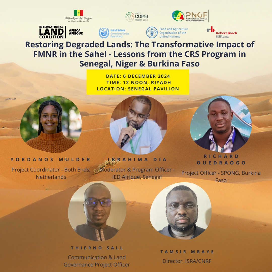 ILCAfrique's tweet photo. It's an exciting day at #COP16Riyadh 🎉 We’ll support CFN Senegal at the Senegal Pavilion for their 10:30 AM &amp; noon sessions, followed by YILAA &amp; the Youth Platform (YLMPA) at the Ivory Coast Pavilion at 1:00 PM. Let’s hope the entire region comes together in full support! 🌍 https://t.co/r4ThfXYZT8