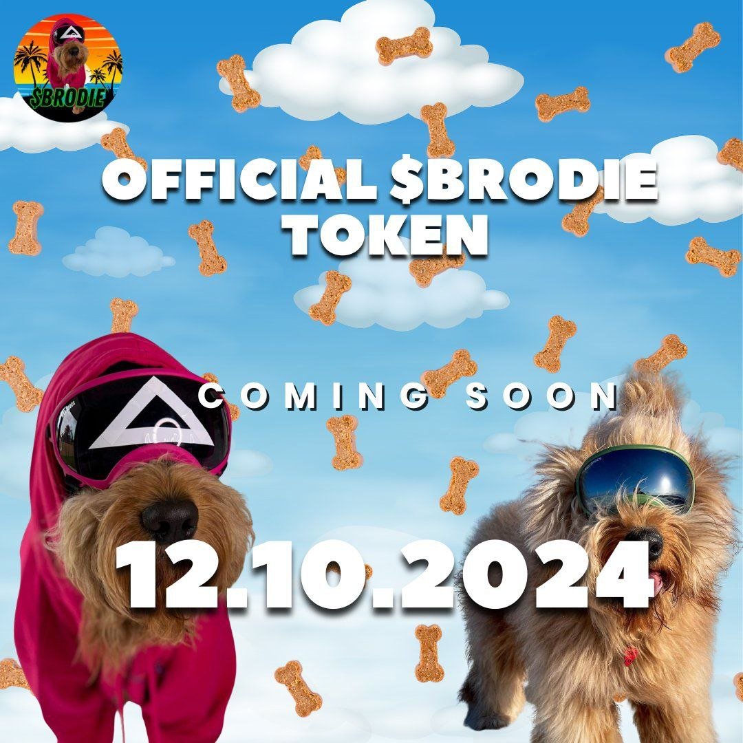 hodltilzero's tweet photo. @tekee @BrodieOnSolana Massive Potential!! https://t.co/Re4cRPnLbm