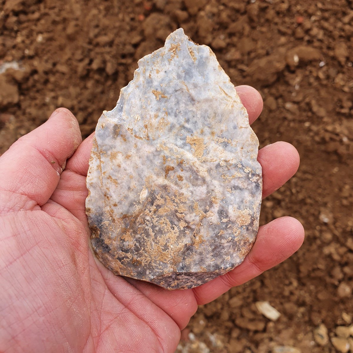 MatthewPope's tweet photo. Such a special moment, a small Late Middle Palaeolithic Biface fresh from the ground &amp; I'm the first person to hold it since discard by a Neanderthal person ~60k years ago, discovered during a @ArchSouthEast 
development-led project, Hove, Sussex in 2021
#FlintFriday
#FindsFriday https://t.co/fBrgx5J0NL